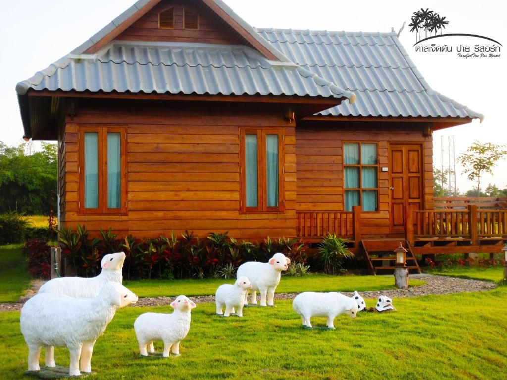Resort Tarnjedton 3*