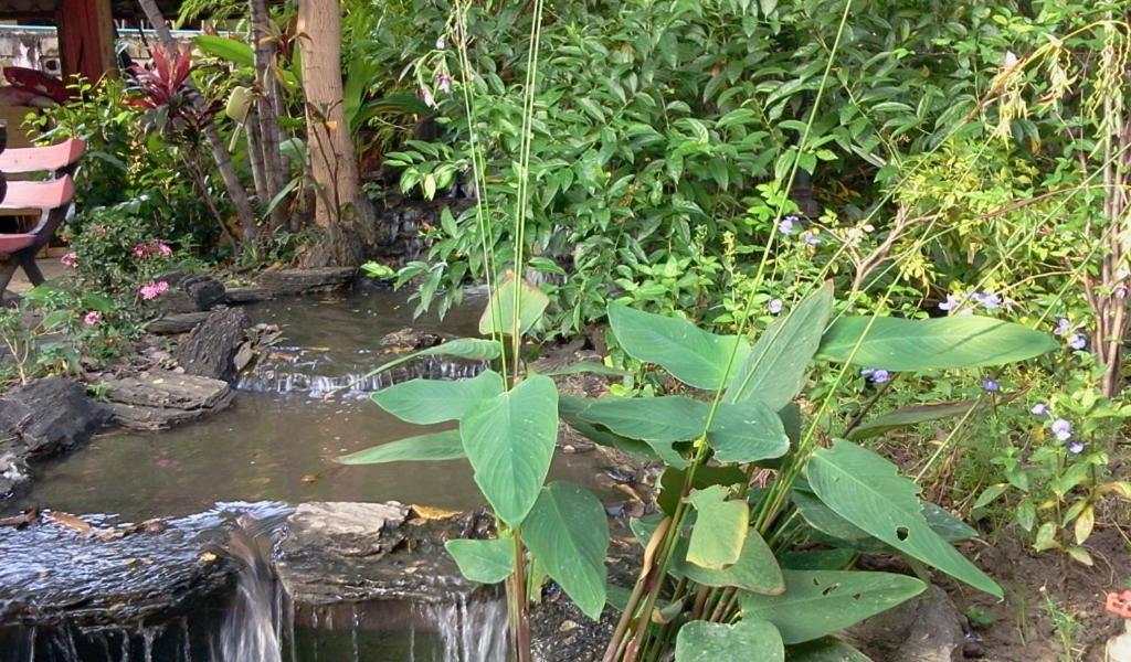 Naruncha House *