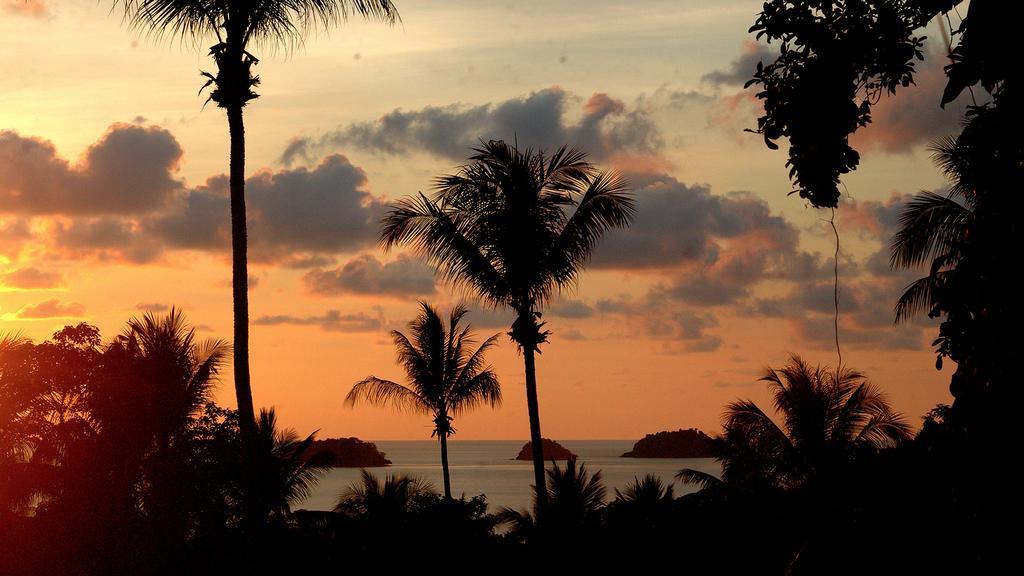 Oasis Guest house