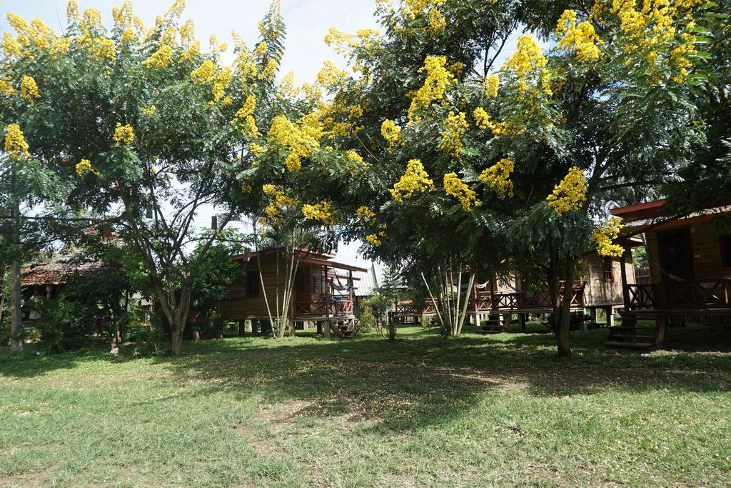 Resort Family Hut *