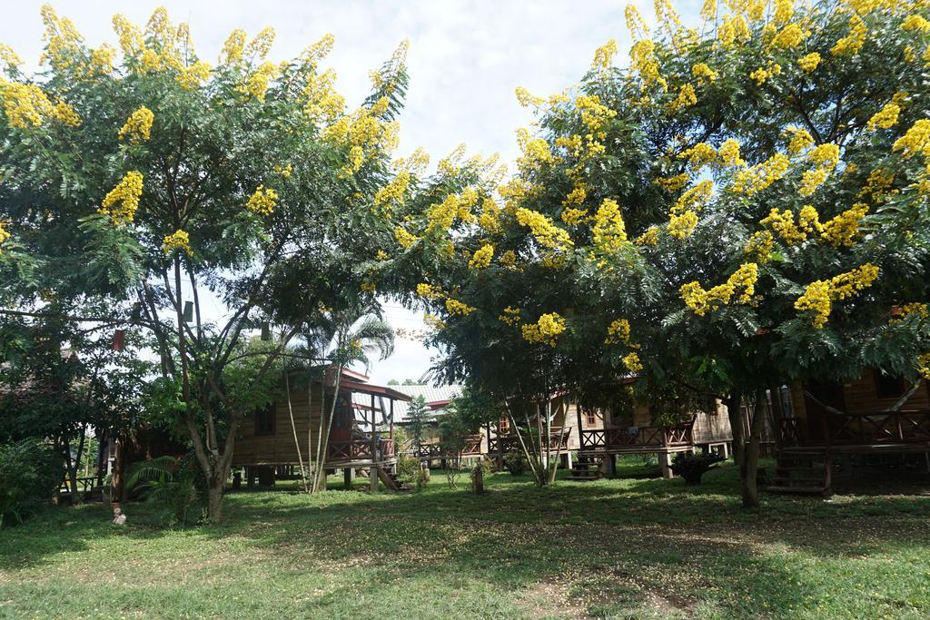Family Hut