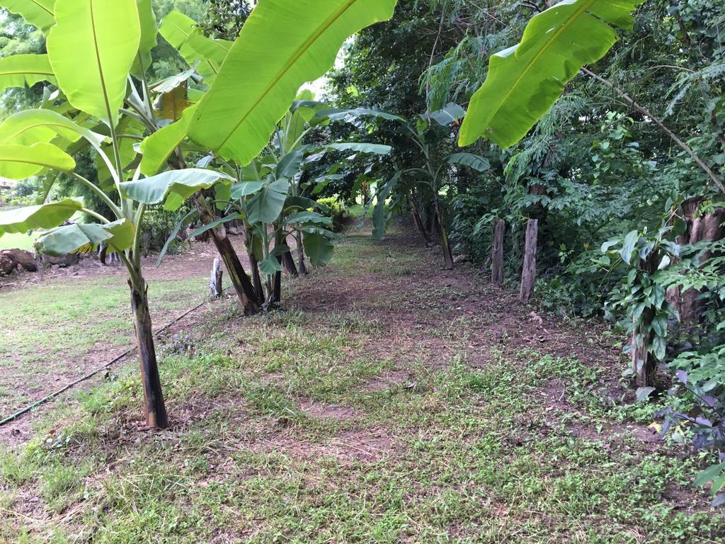 Resort Paipunthong Pai
