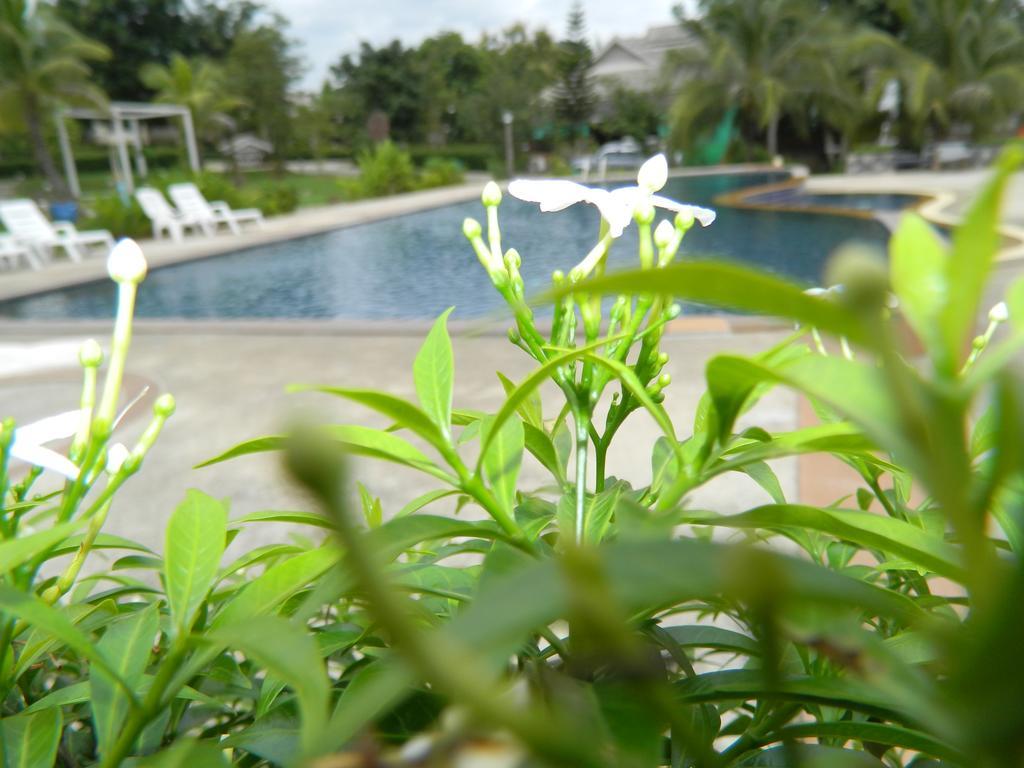 Resort Iyara 3*