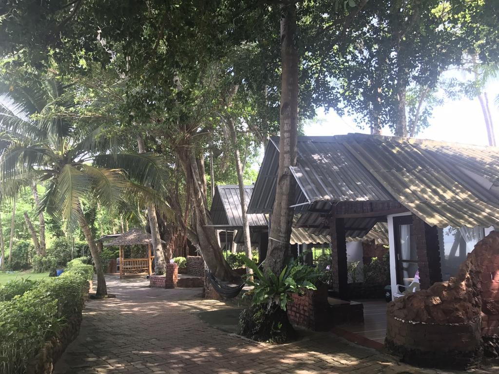 Resort Pine *