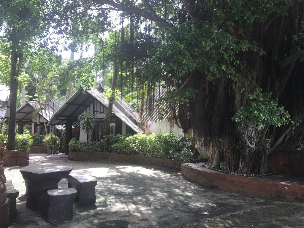 Pine Resort