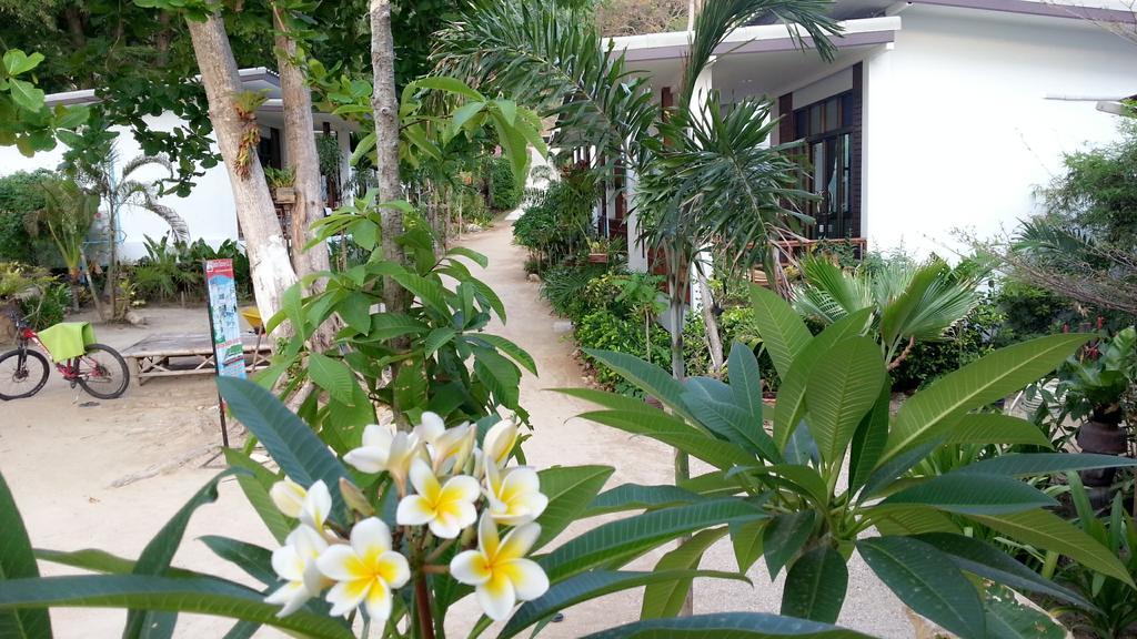 Resort Benjamin's Hut Srithanu