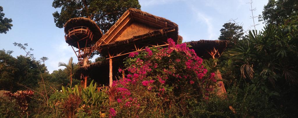 Guest house Oasis 3*