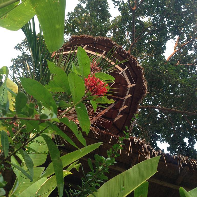 Oasis Guest house