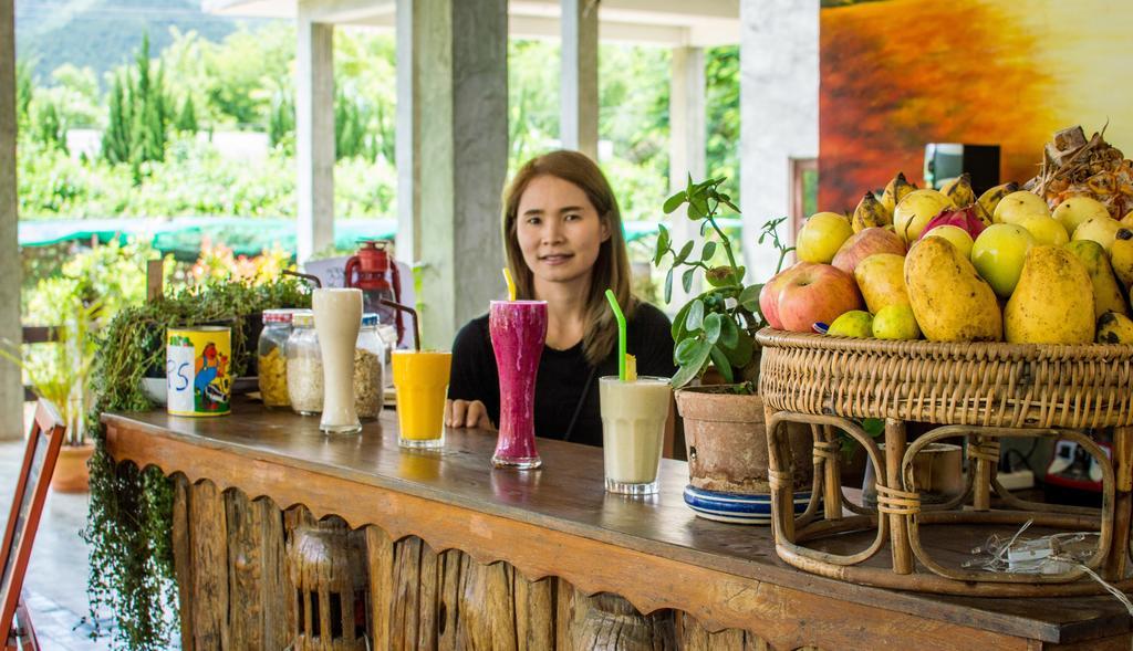 Backpackers Paradise (adults Only) *