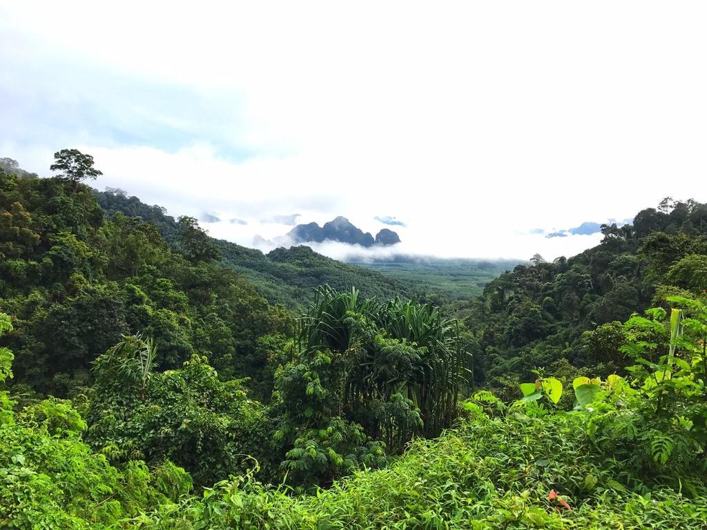 Khao Sok Guest house