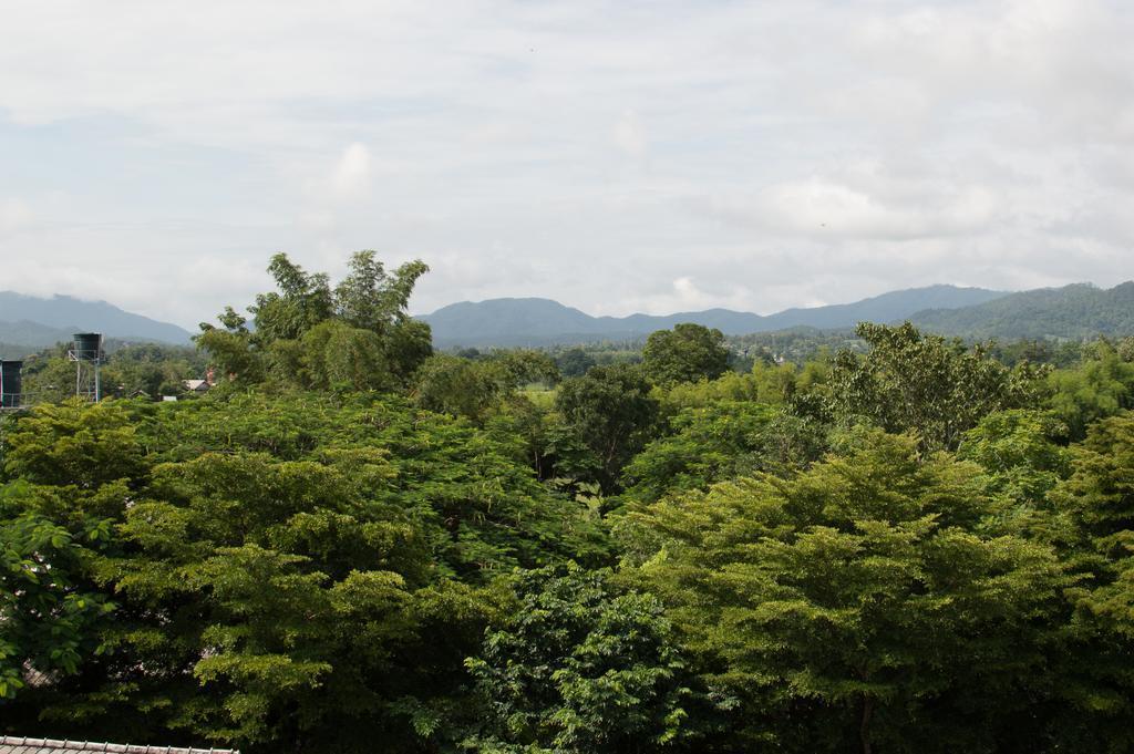 Hotel Backpackers Paradise (adults Only)