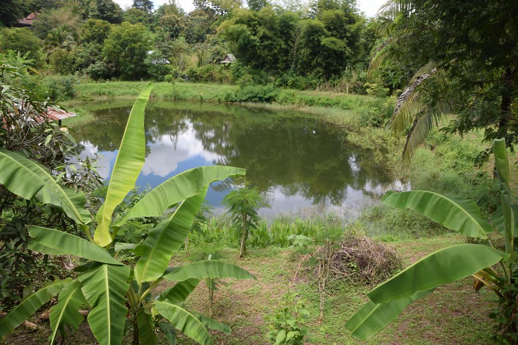 Oasis Resort