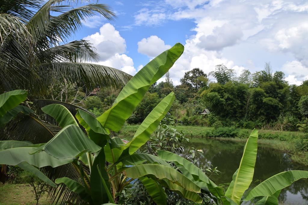 Resort Oasis Pai