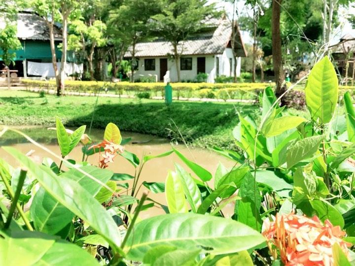 Hotel Backpackers Paradise (adults Only)