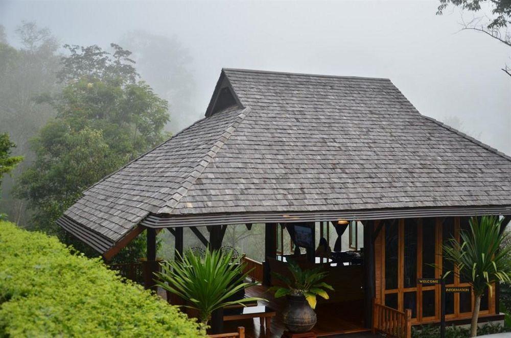 32 Coffee Hill & Chiang Mai