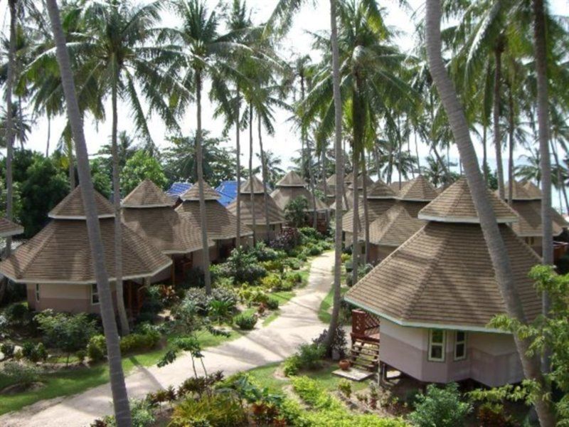 Coral Grand