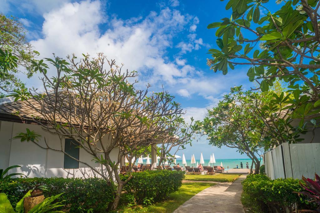 The Hive Lamai Beach (Koh Samui)