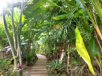 Breeze Of 3* Pai