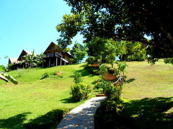 The Cliff & River Jungle 3* Phanom