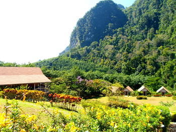 Hotel The Cliff & River Jungle 3*