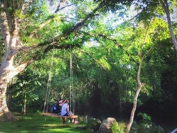Baan Khao Sok Holiday park