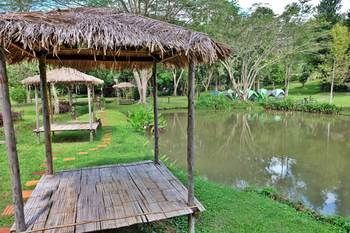 Resort Phu Ing Fah Pong Yaeng