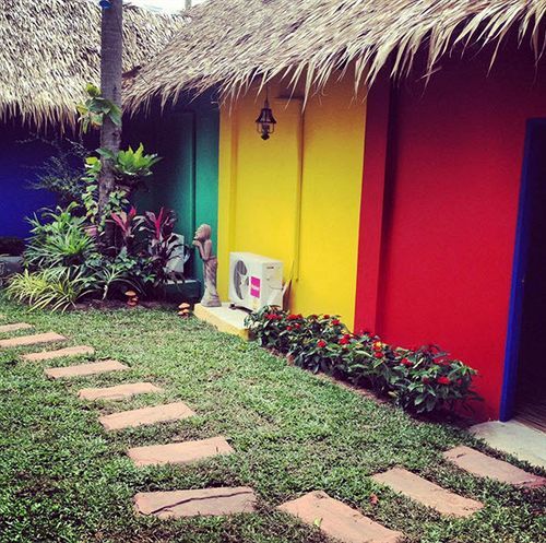 Wok & The Much Albergue *
