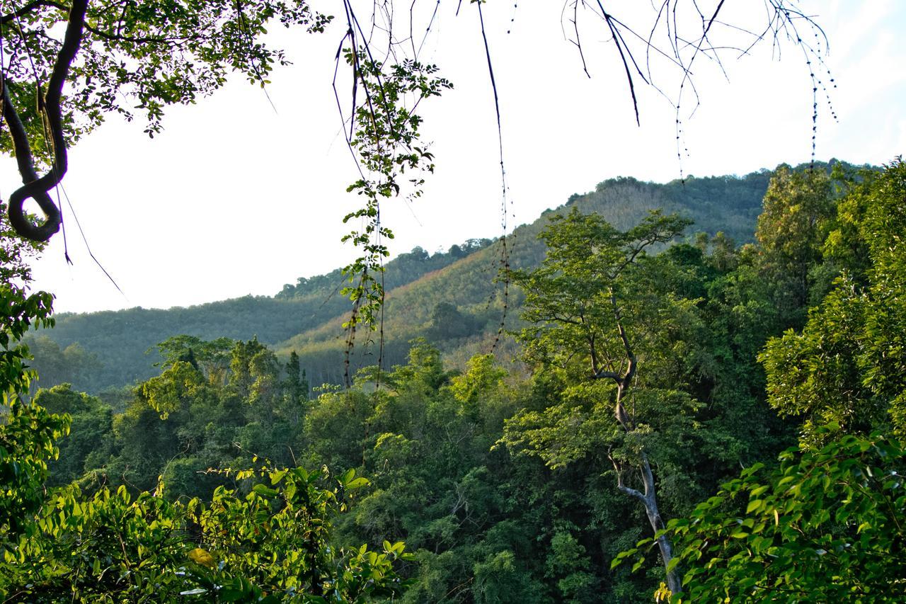 Chestnut Hill Eco Had Yai Hat Yai