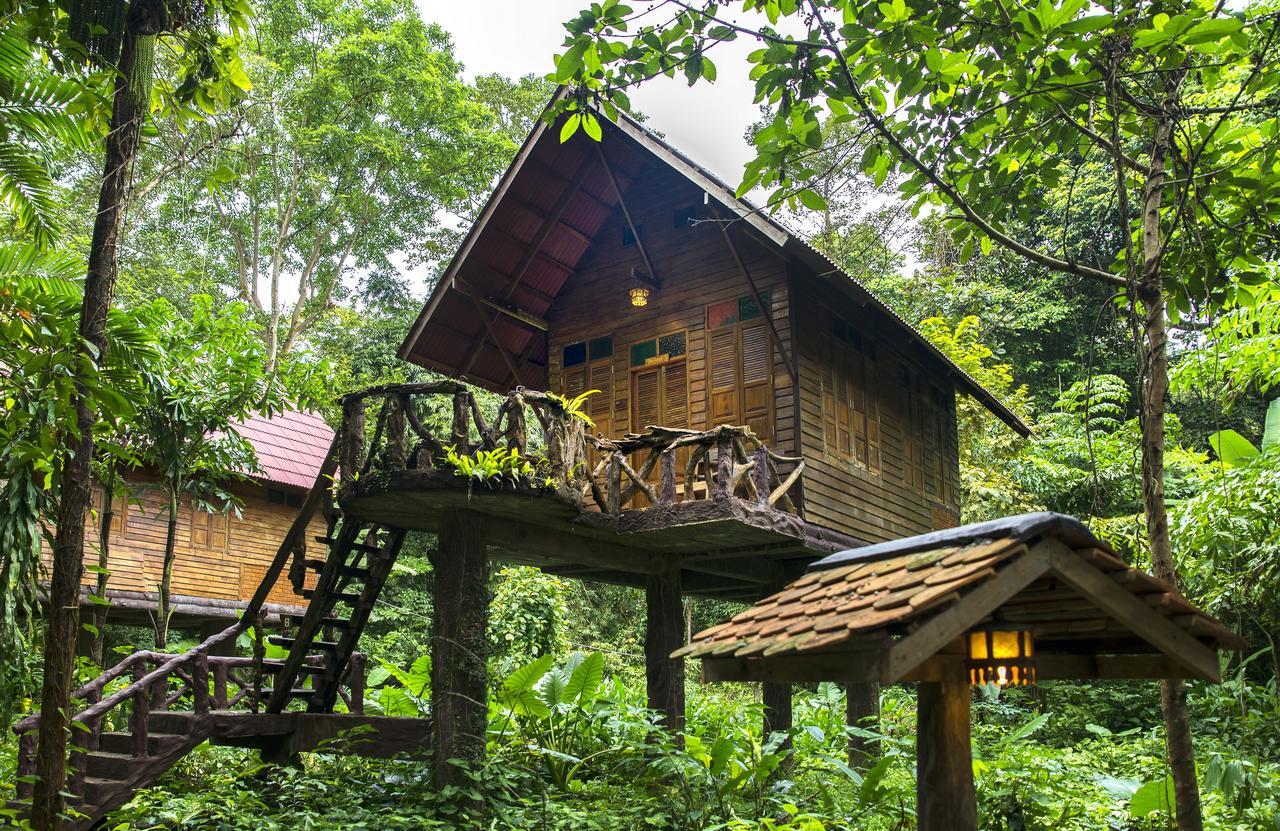 Resort Art's Riverview Khao Sok National Park