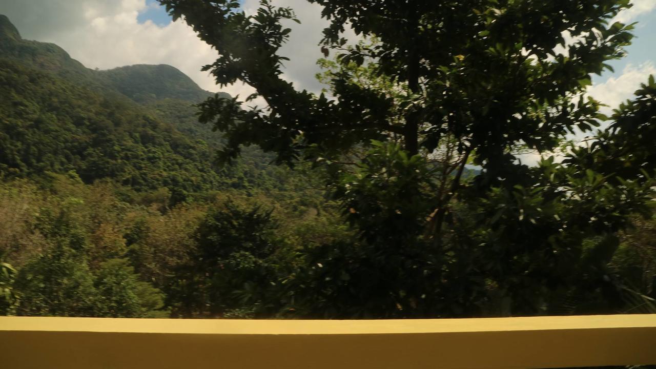 Island 2*