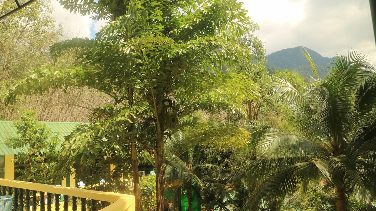 Aparthotel Island 2*