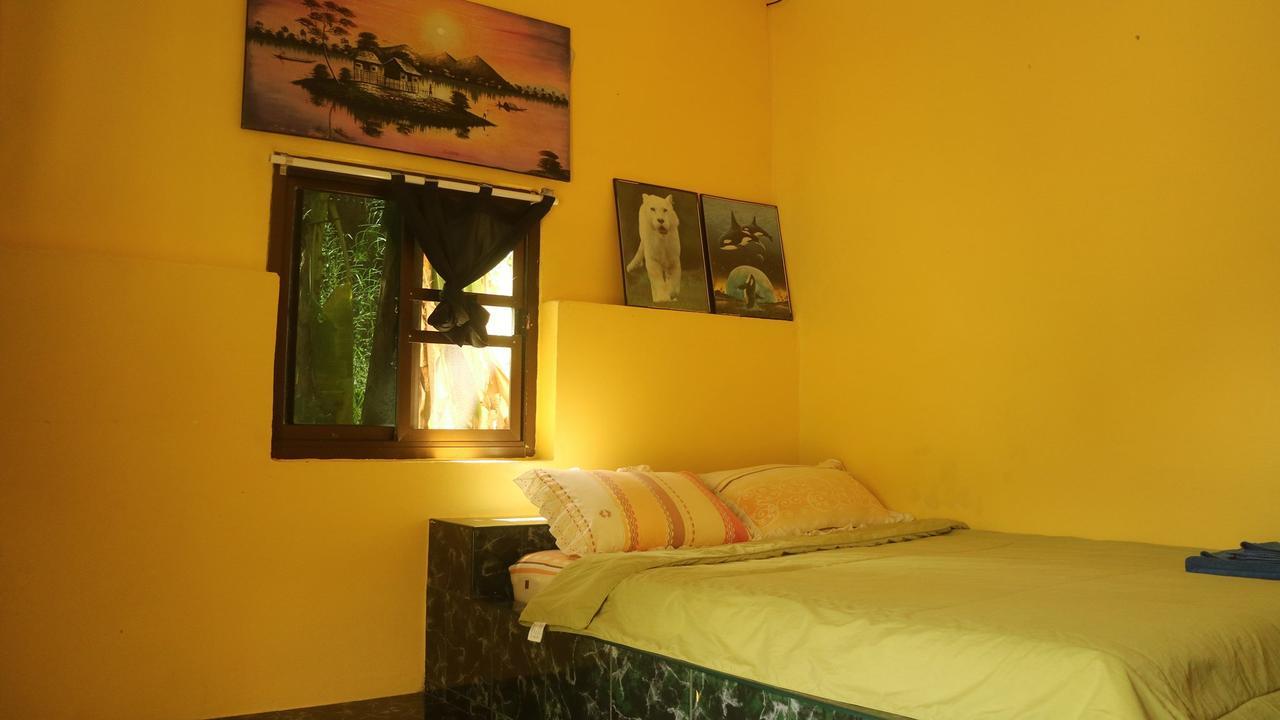 Island Aparthotel 2*