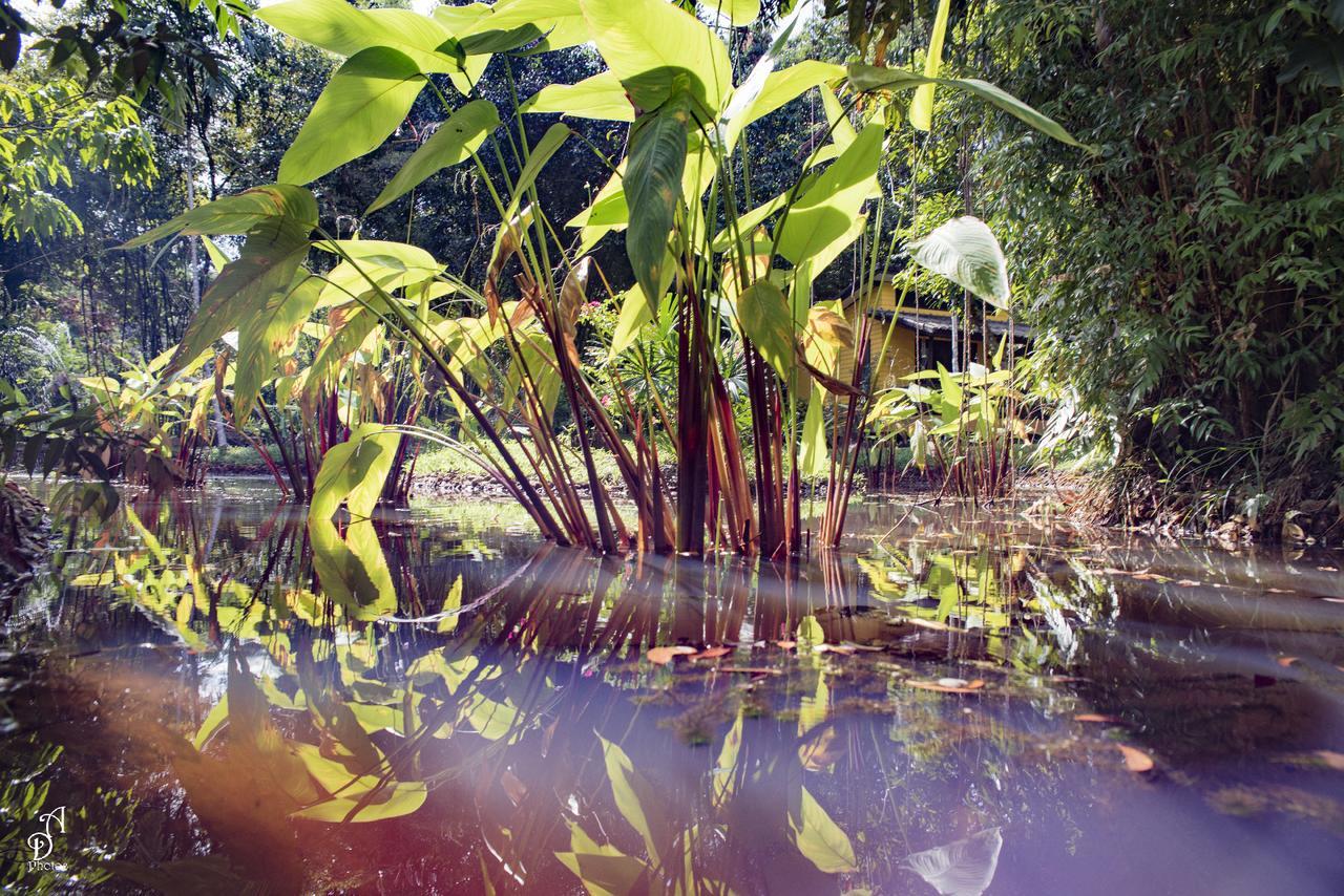 Resort Garden Of Joy