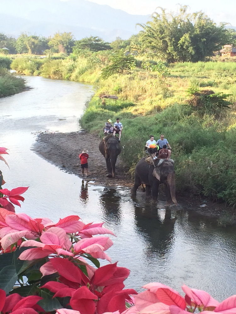 Resort River Mountain