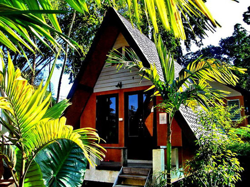 Breeze Of 3* Pai