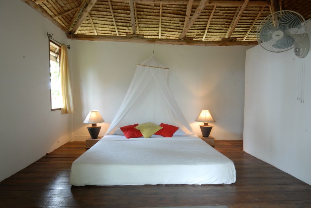 The Jungle Club - Sha Extra 3*