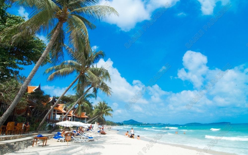 Samui Paradise