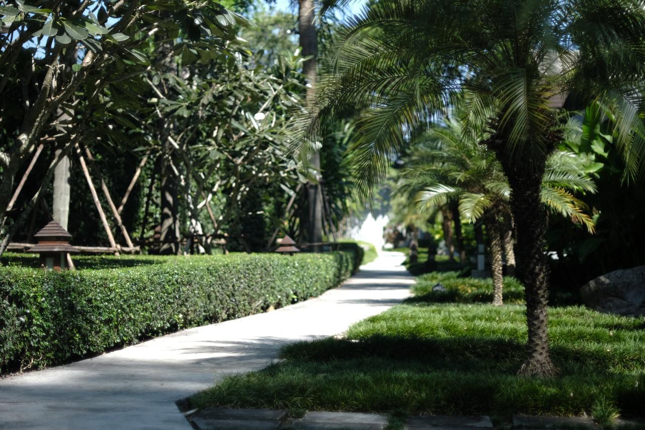 The Quarter