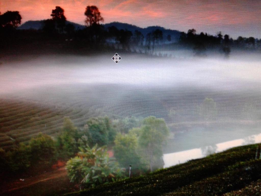 Happy Village *
