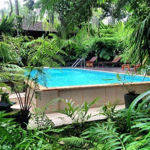 Fern Paradise Chiang Mai