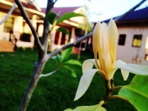 Guest house Naraya 2*