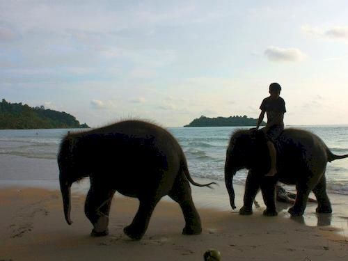 Paradise Resort 2*