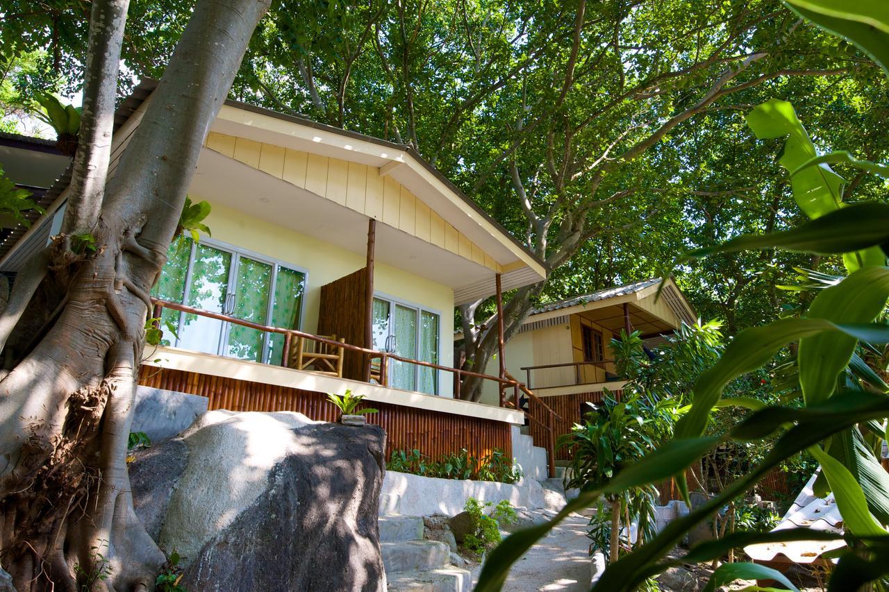 Bubble Koh Tao