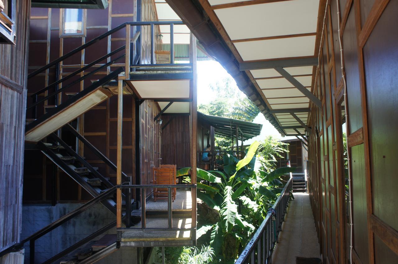 Tropical Garden
