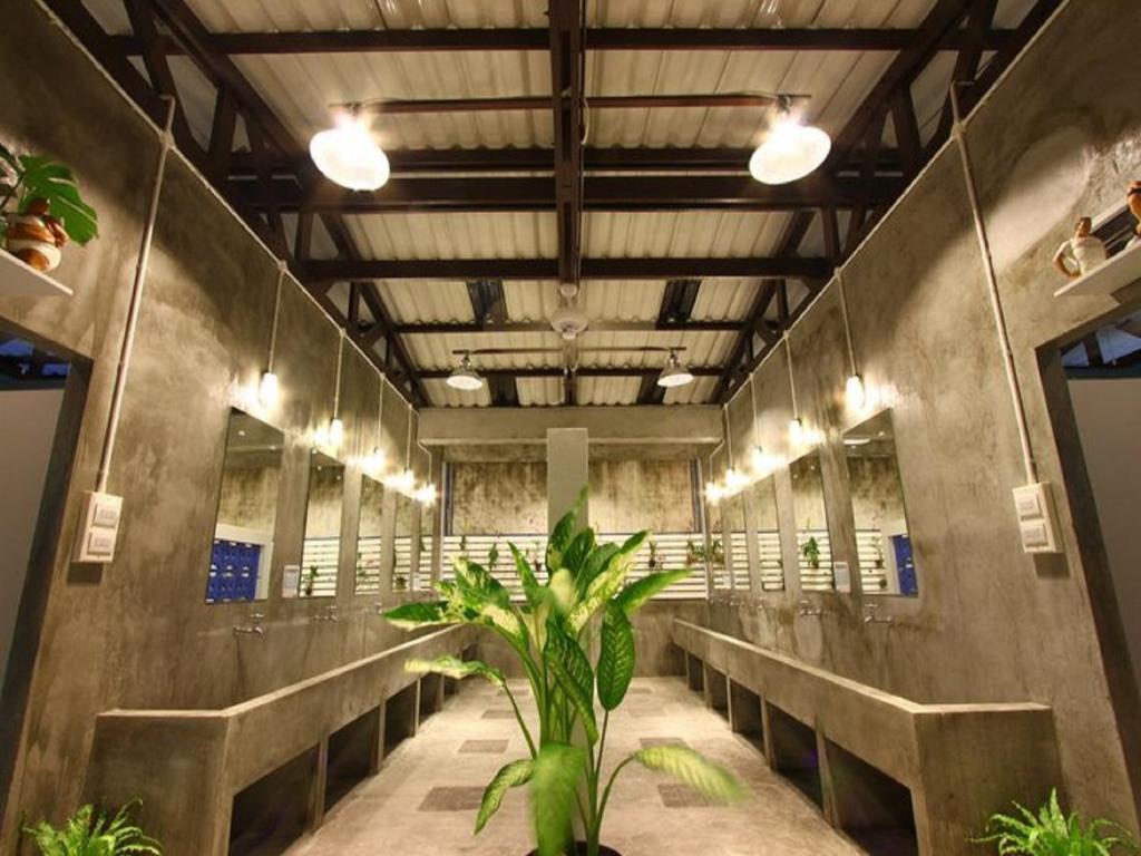 Pak-up Hostel Krabi