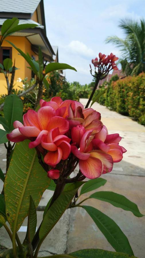 Baan Mek Lom Khao Lak