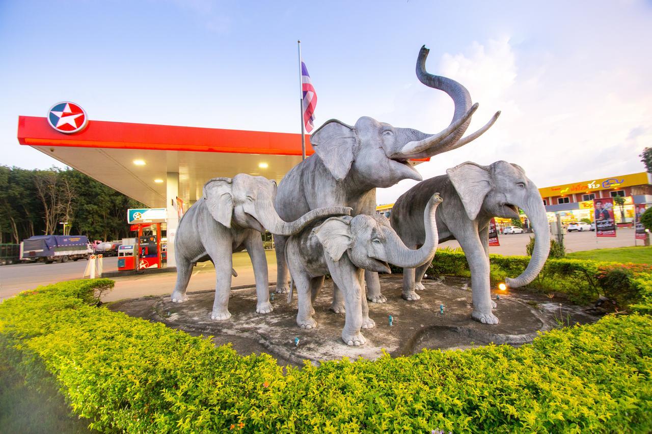 The Lephant Hotel