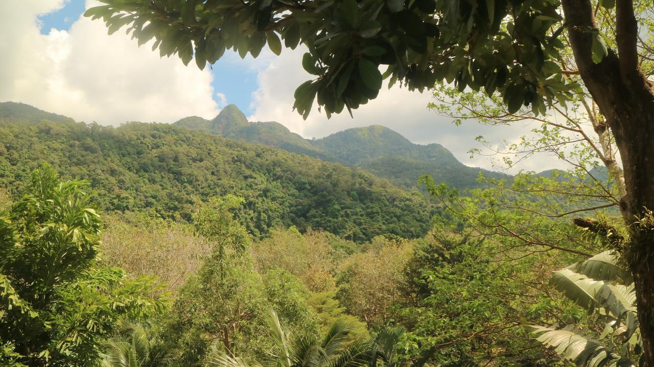 Island 2*