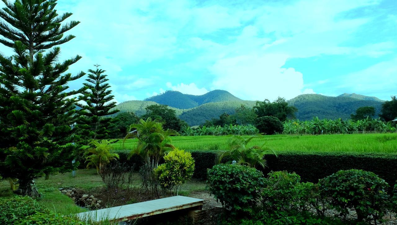 At 3* Pai