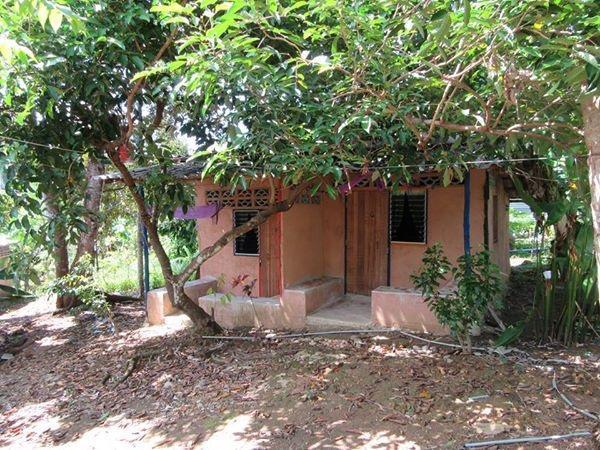 Hippy Hut Hotel *
